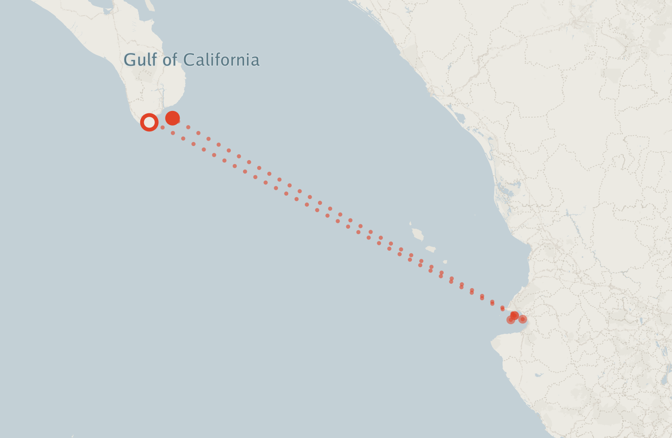 Activity map — real sighting points on an OpenStreetMap basemap