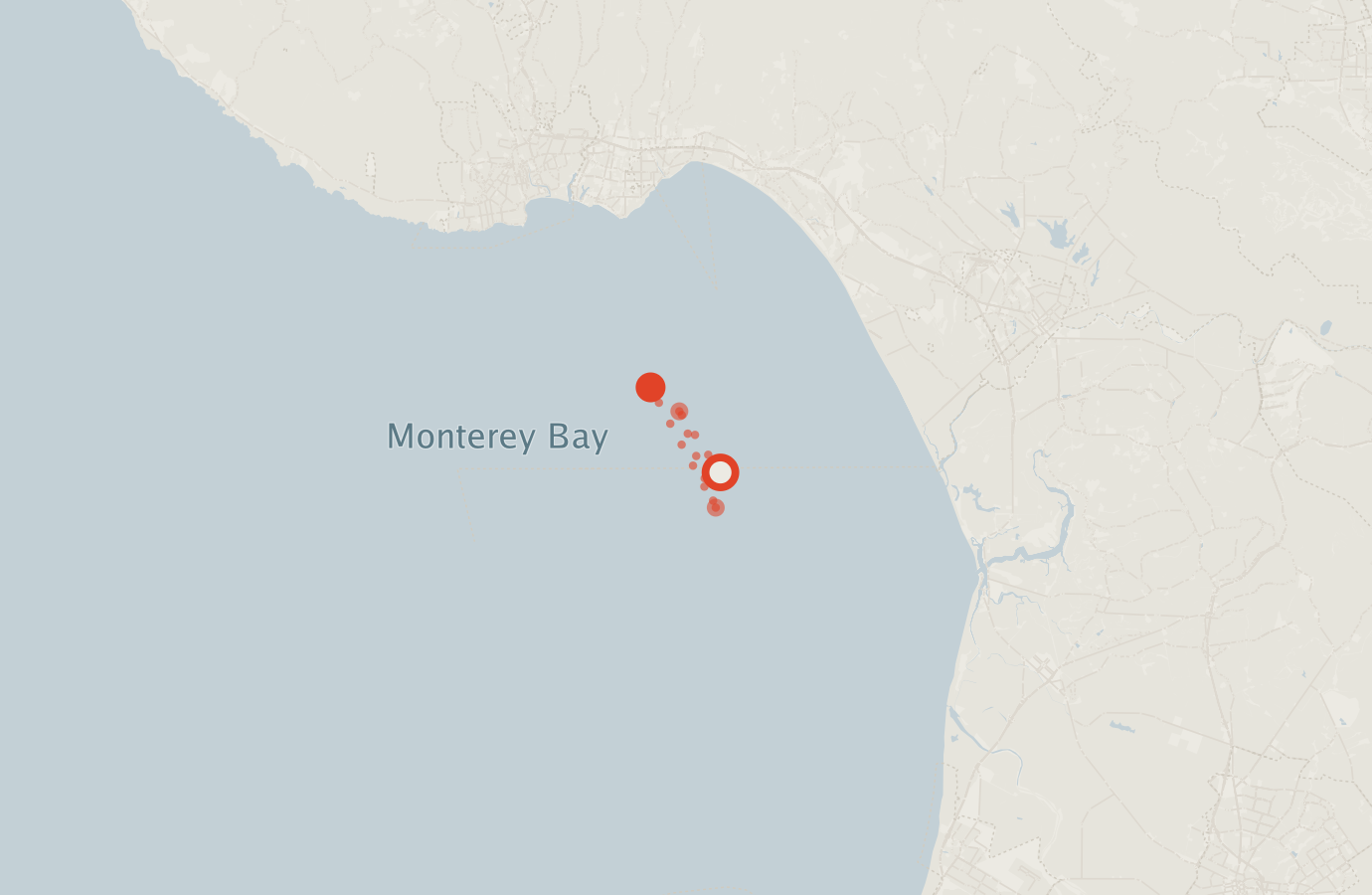 Activity map — real sighting points on an OpenStreetMap basemap