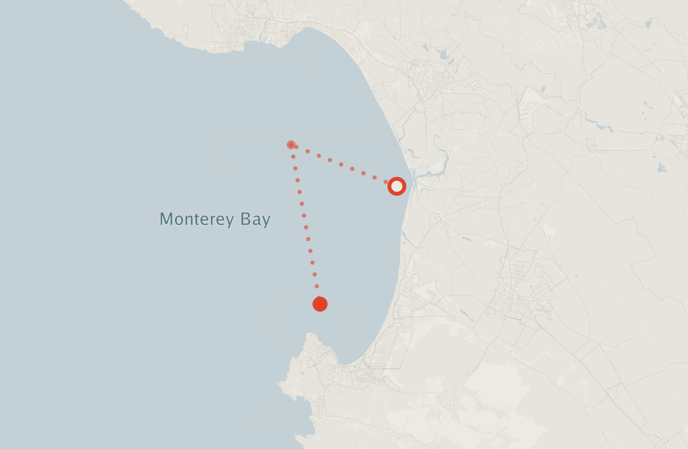Activity map — real sighting points on an OpenStreetMap basemap