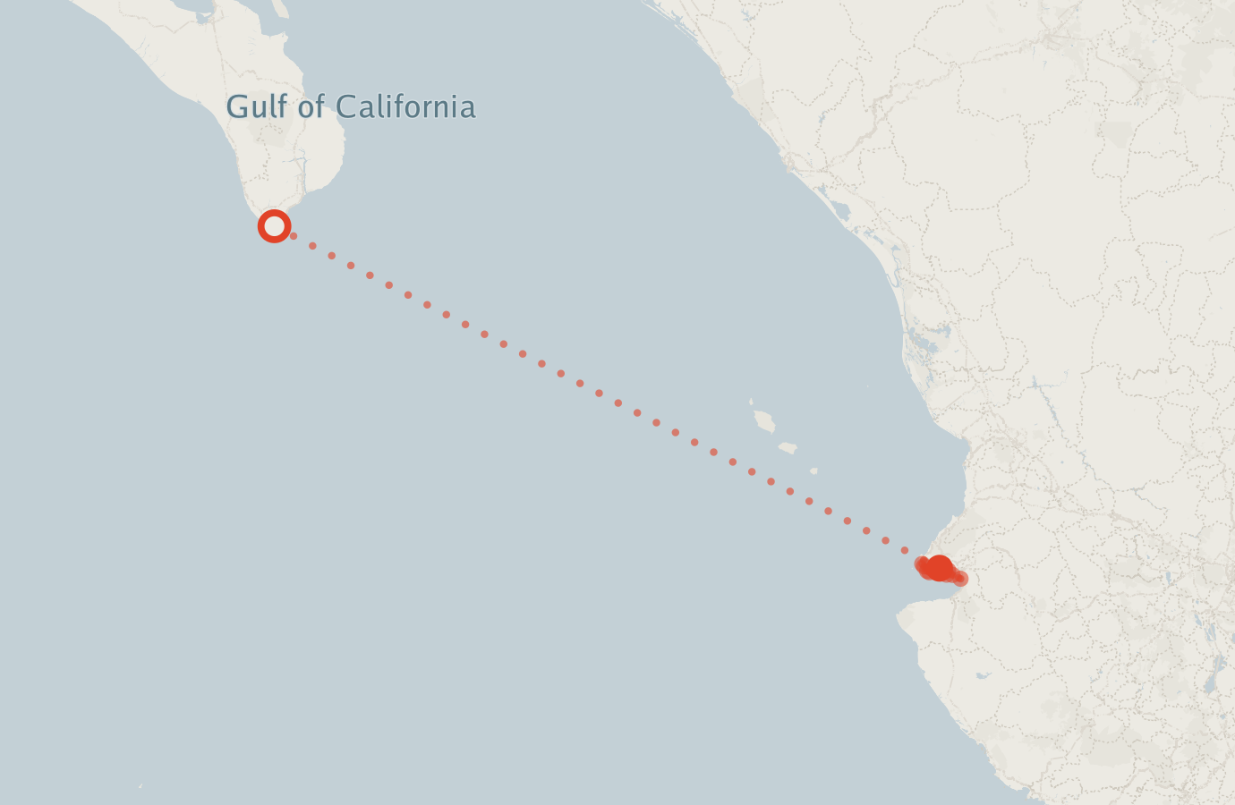 Activity map — real sighting points on an OpenStreetMap basemap