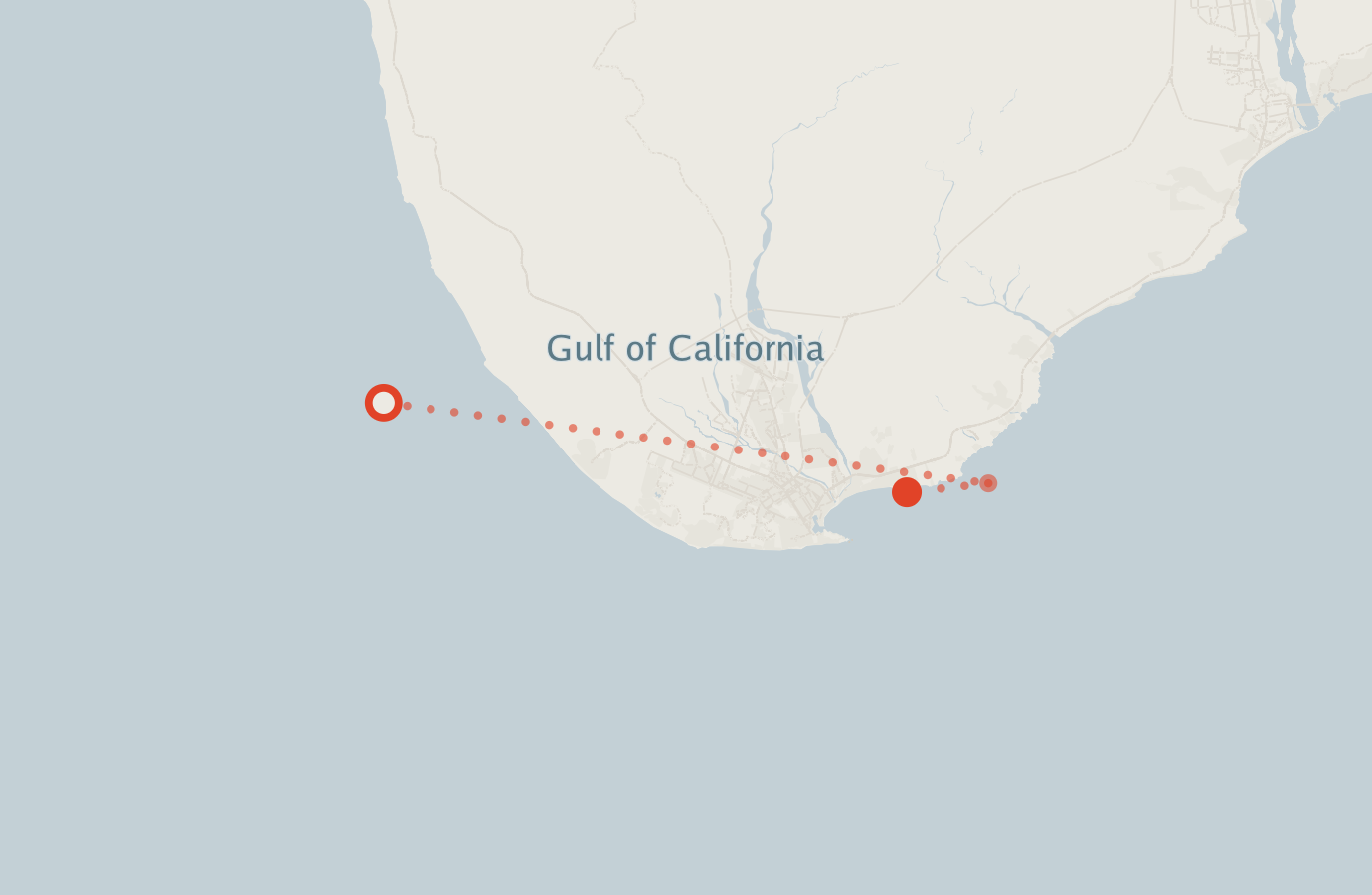 Activity map — real sighting points on an OpenStreetMap basemap