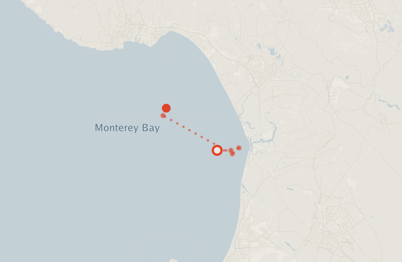 Activity map — real sighting points on an OpenStreetMap basemap