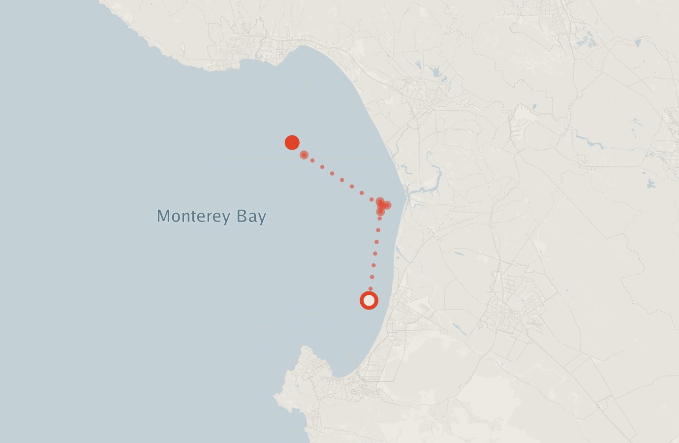 Activity map — real sighting points on an OpenStreetMap basemap
