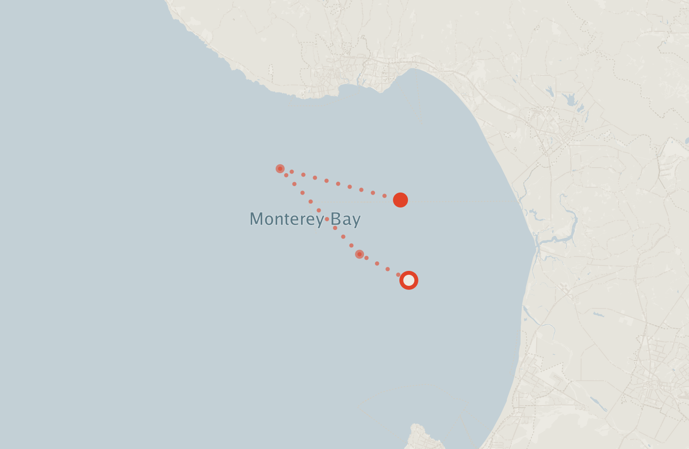Activity map — real sighting points on an OpenStreetMap basemap