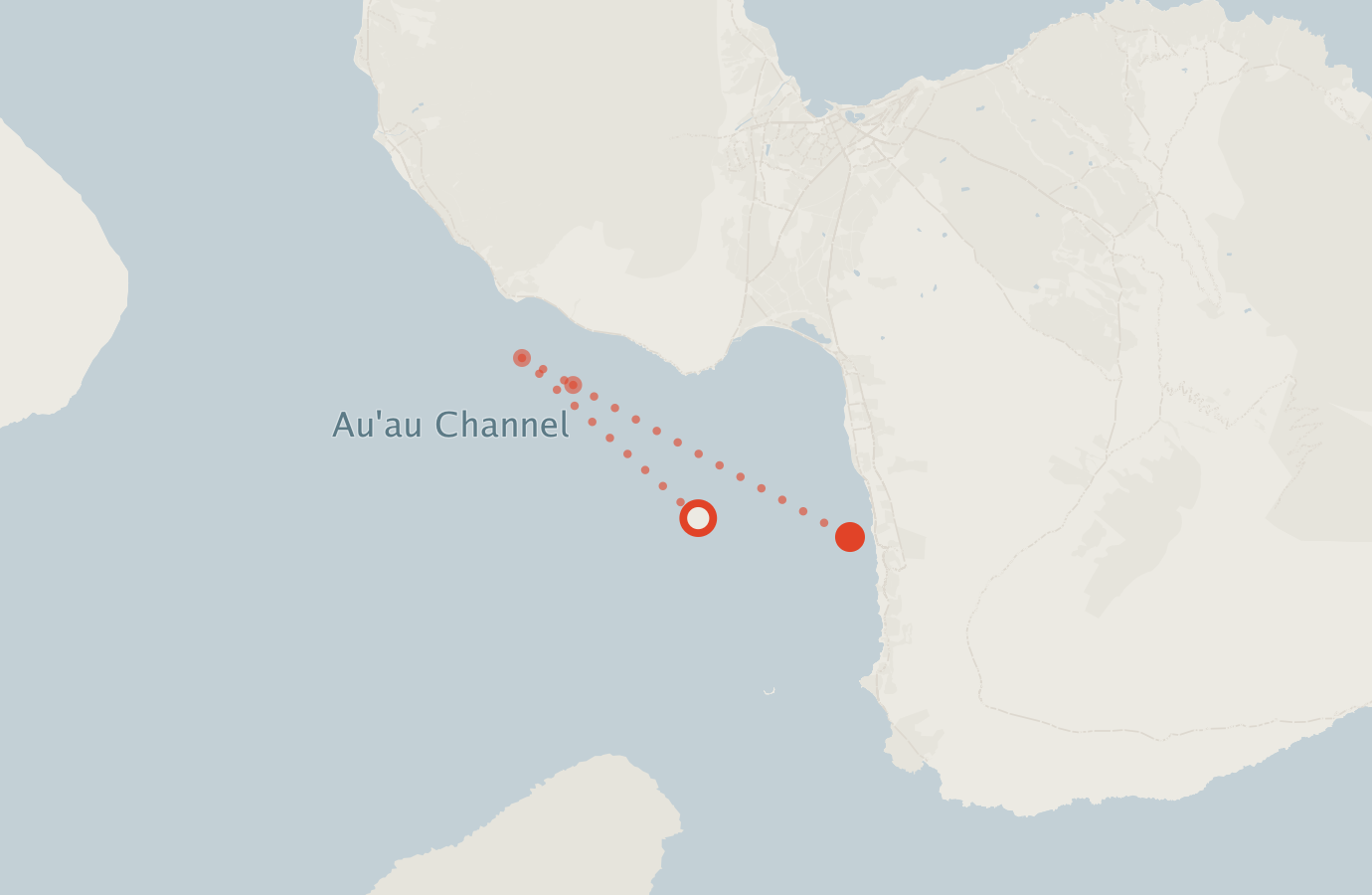 Activity map — real sighting points on an OpenStreetMap basemap