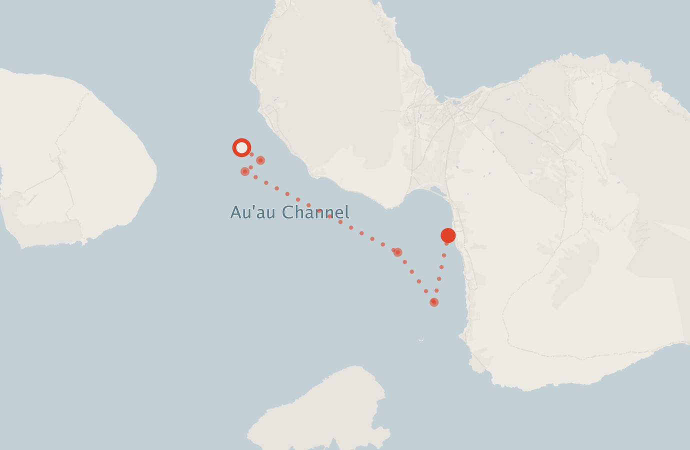 Activity map — real sighting points on an OpenStreetMap basemap