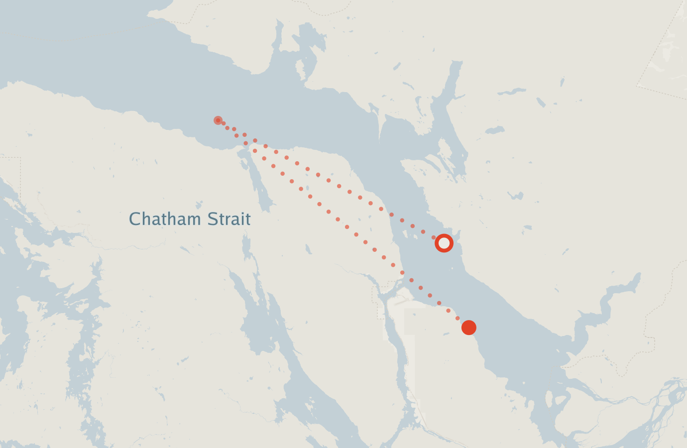 Activity map — real sighting points on an OpenStreetMap basemap