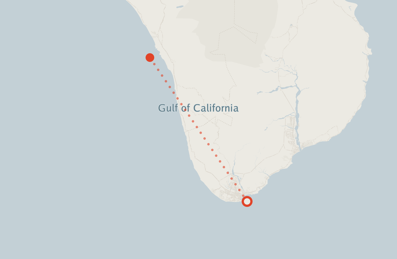 Activity map — real sighting points on an OpenStreetMap basemap