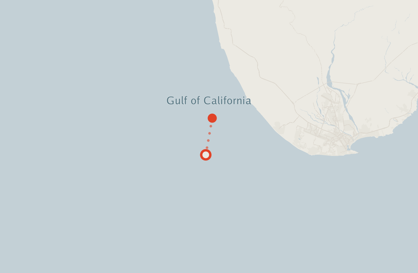 Activity map — real sighting points on an OpenStreetMap basemap
