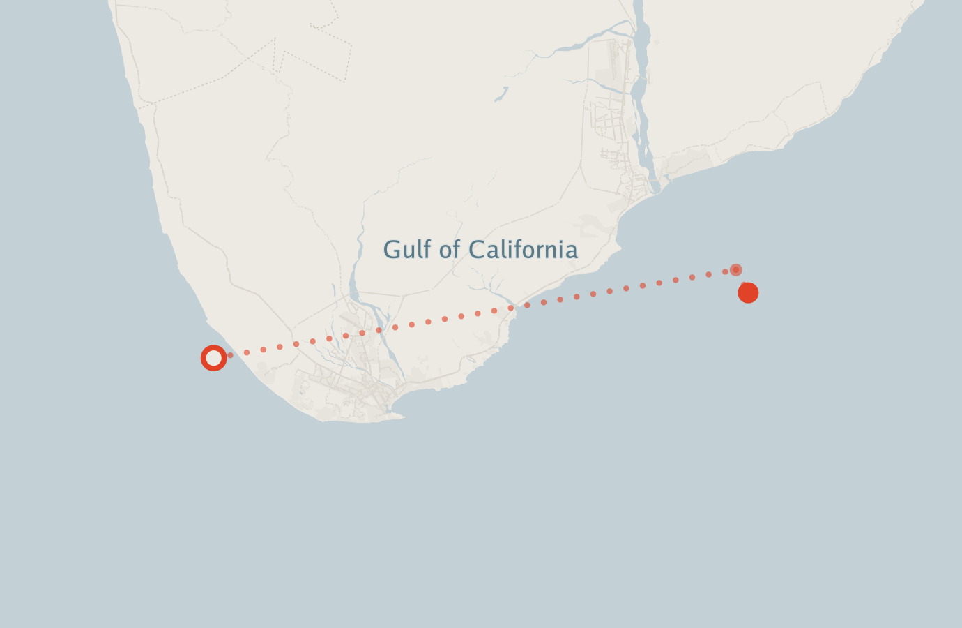 Activity map — real sighting points on an OpenStreetMap basemap
