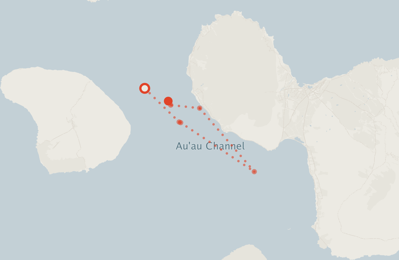 Activity map — real sighting points on an OpenStreetMap basemap