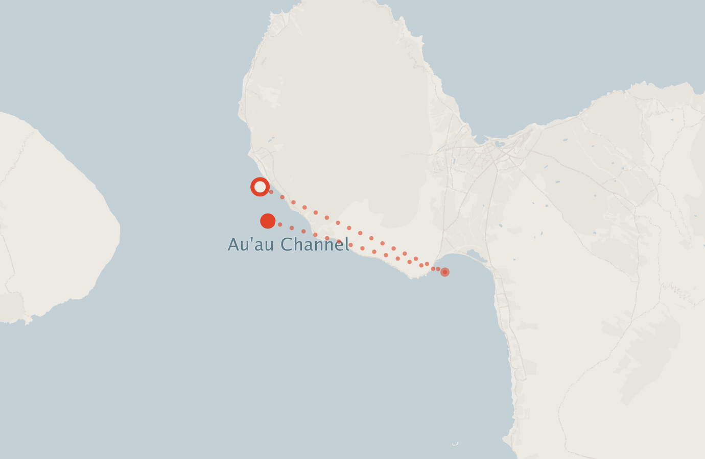 Activity map — real sighting points on an OpenStreetMap basemap