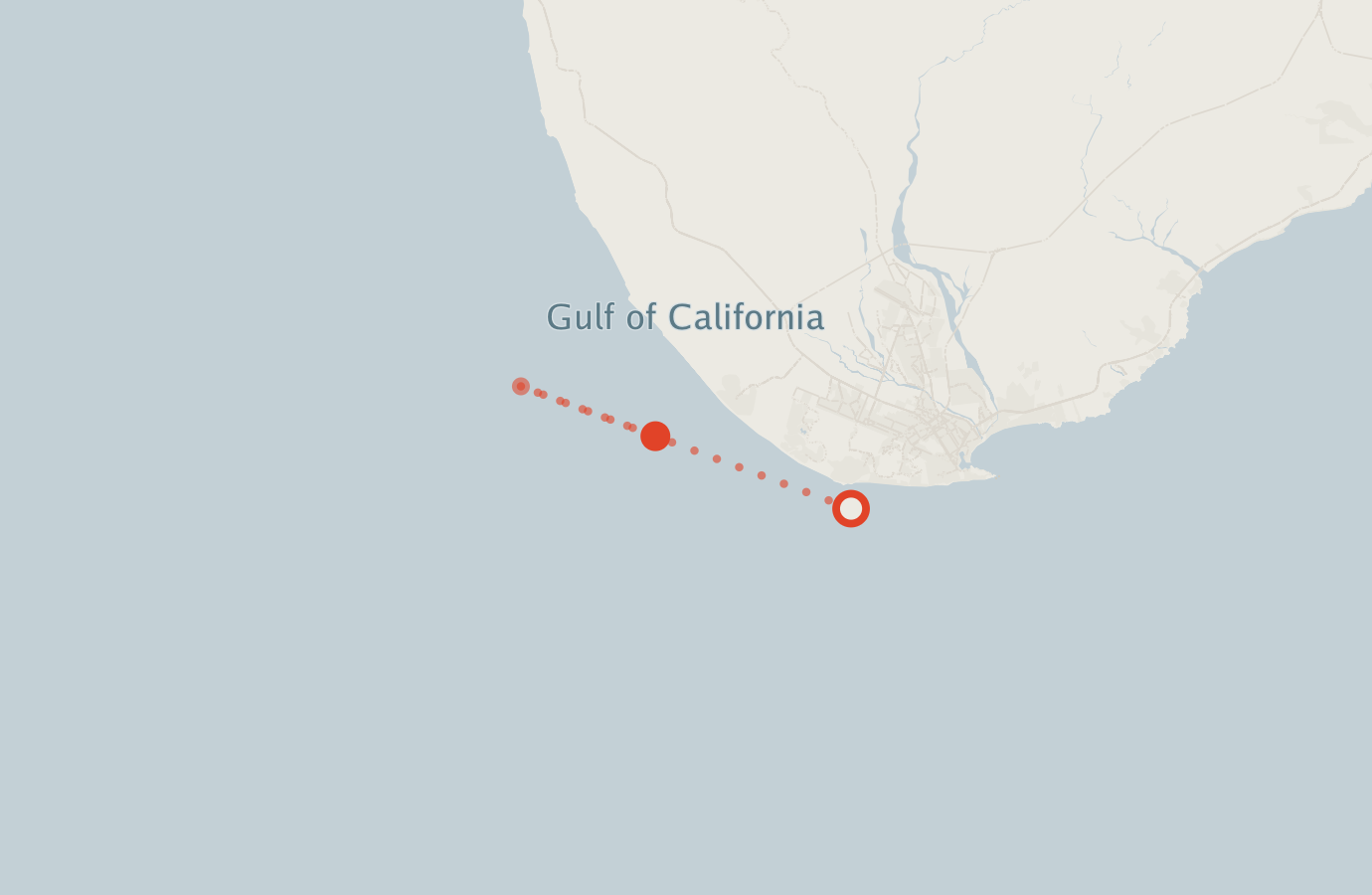 Activity map — real sighting points on an OpenStreetMap basemap