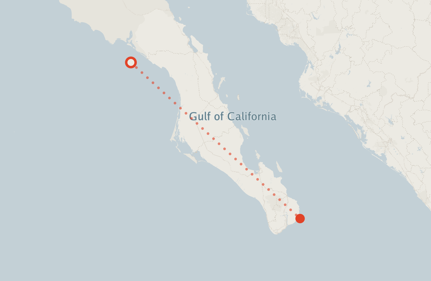 Activity map — real sighting points on an OpenStreetMap basemap