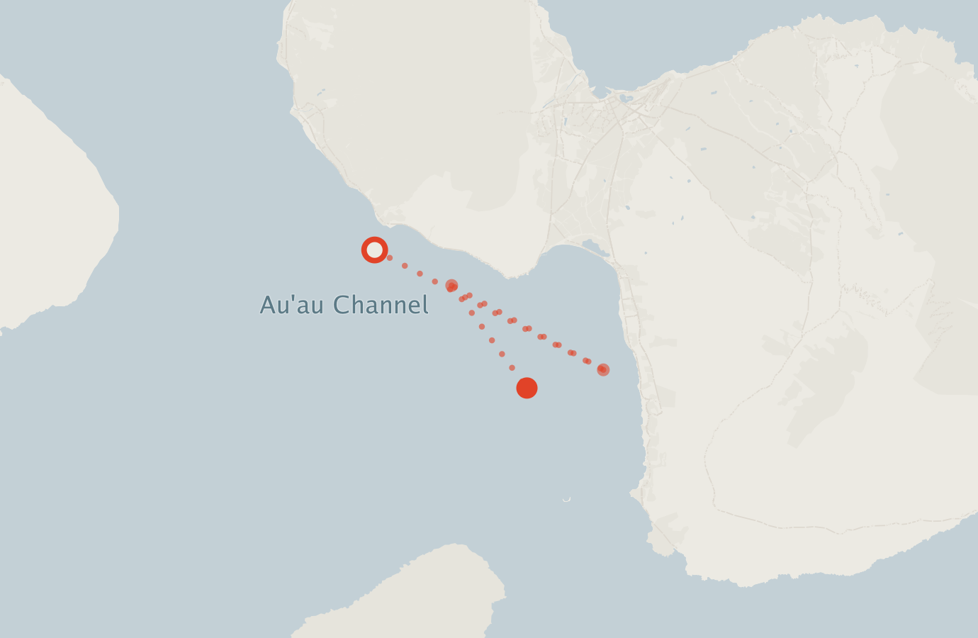 Activity map — real sighting points on an OpenStreetMap basemap