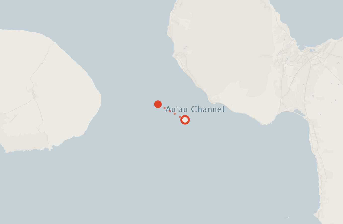 Activity map — real sighting points on an OpenStreetMap basemap