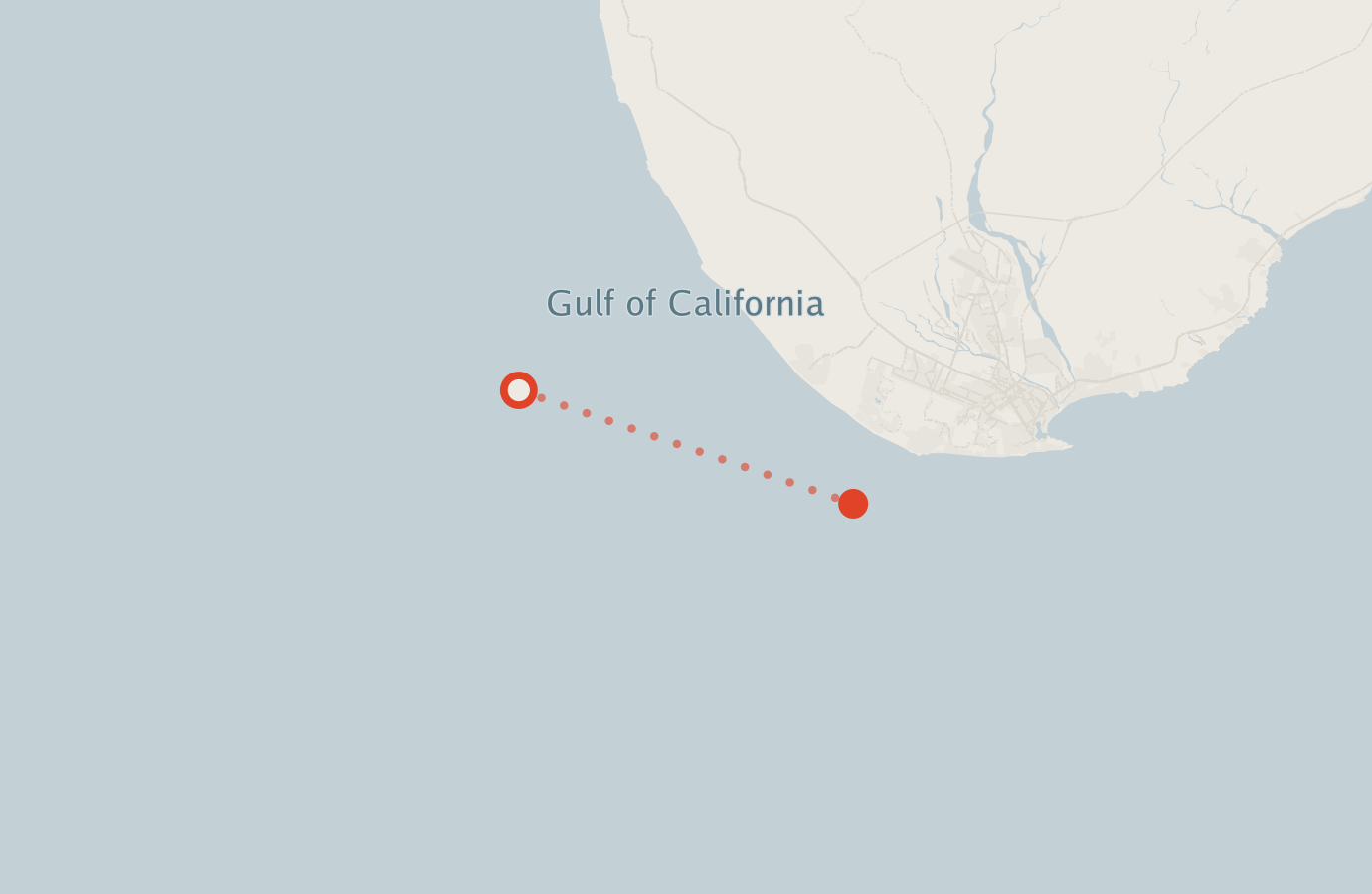 Activity map — real sighting points on an OpenStreetMap basemap
