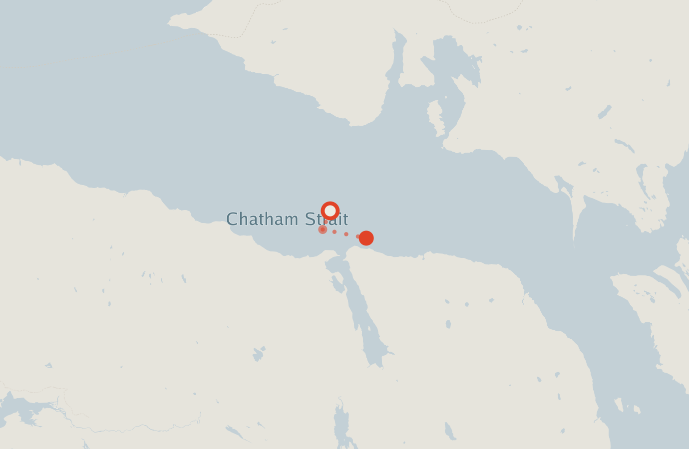 Activity map — real sighting points on an OpenStreetMap basemap
