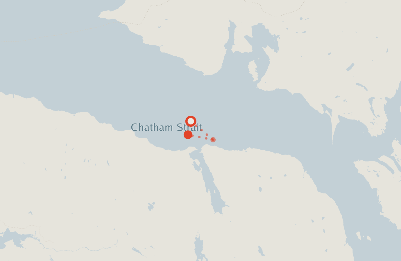 Activity map — real sighting points on an OpenStreetMap basemap