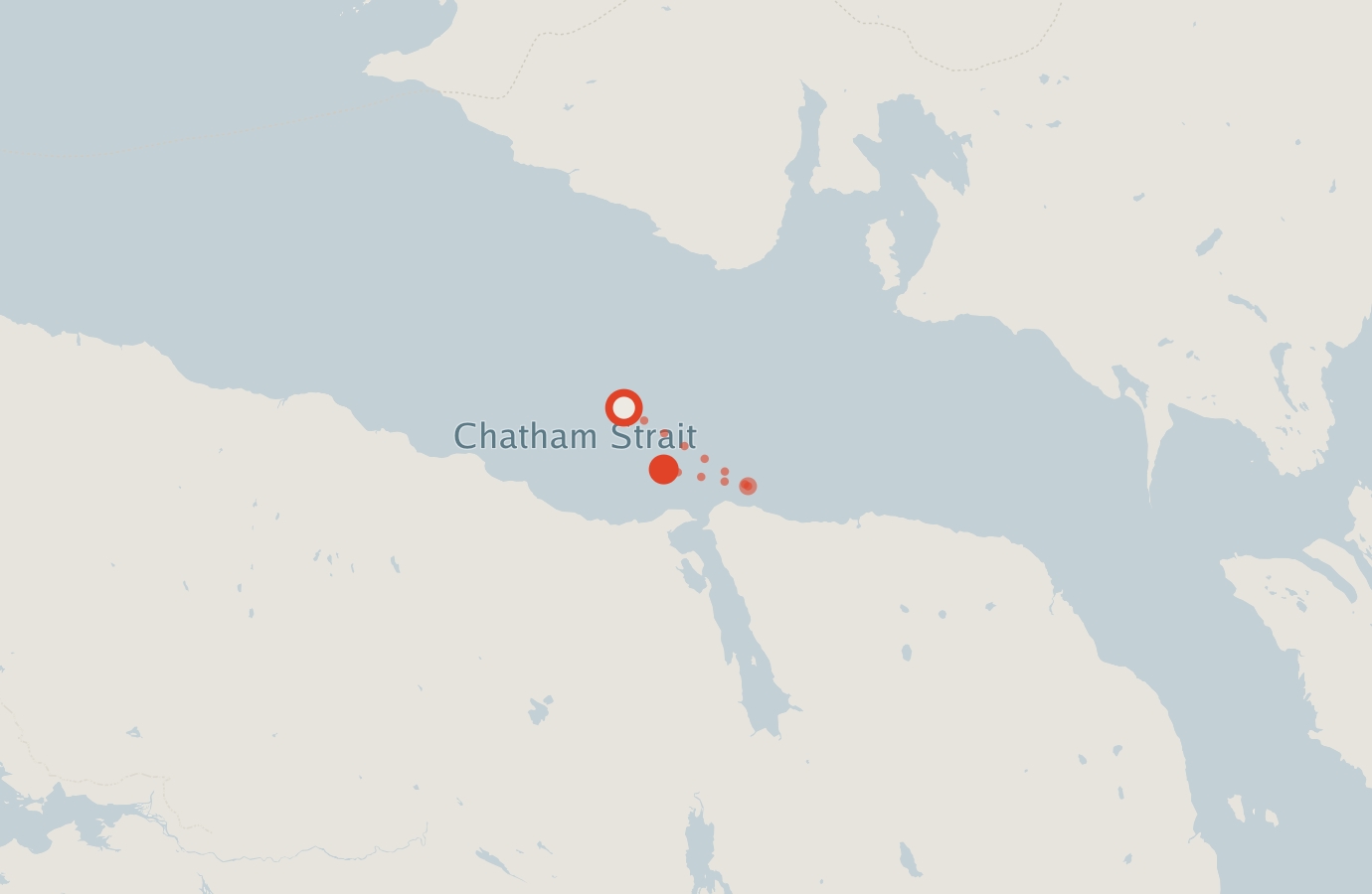 Activity map — real sighting points on an OpenStreetMap basemap