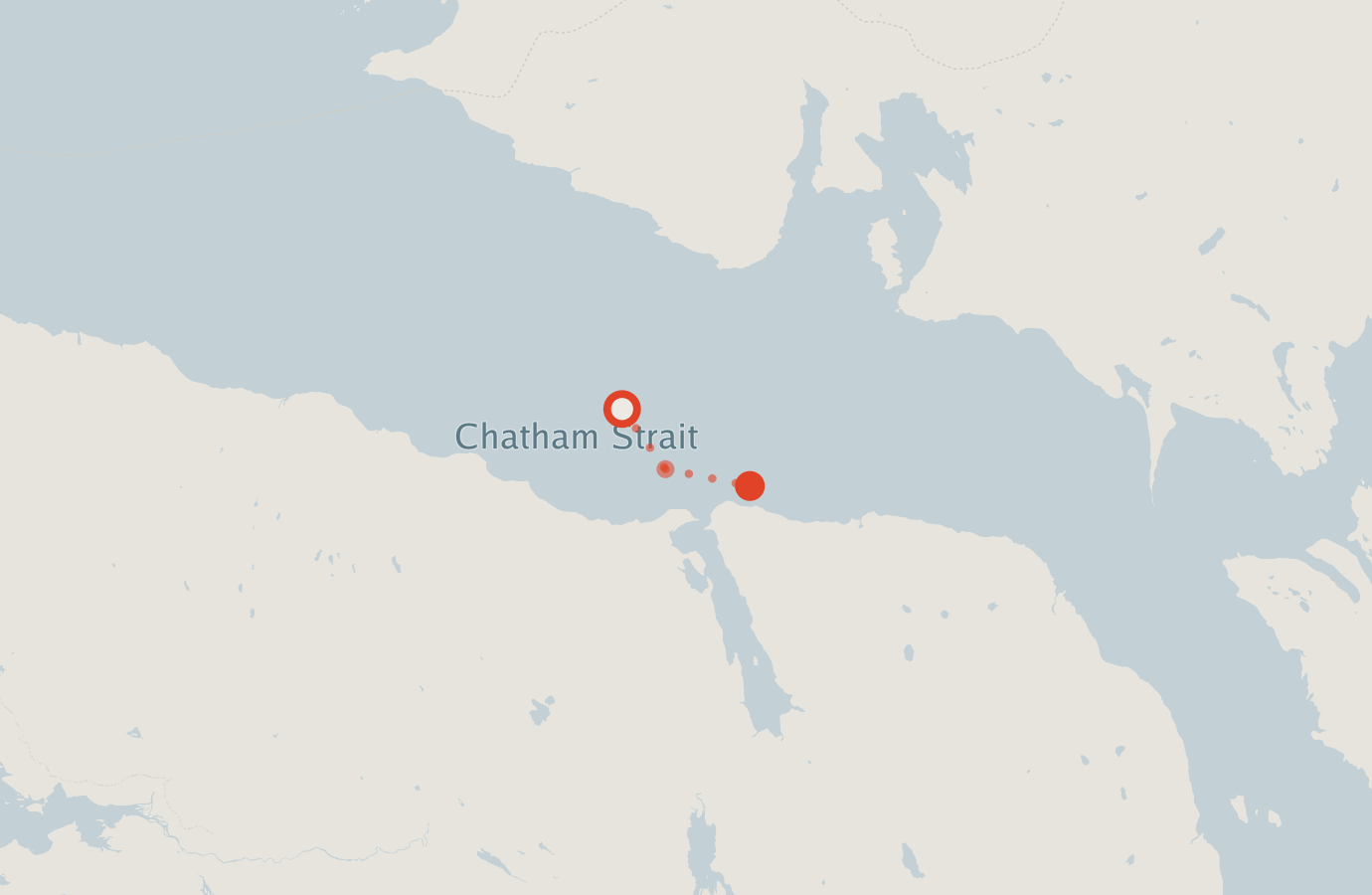 Activity map — real sighting points on an OpenStreetMap basemap