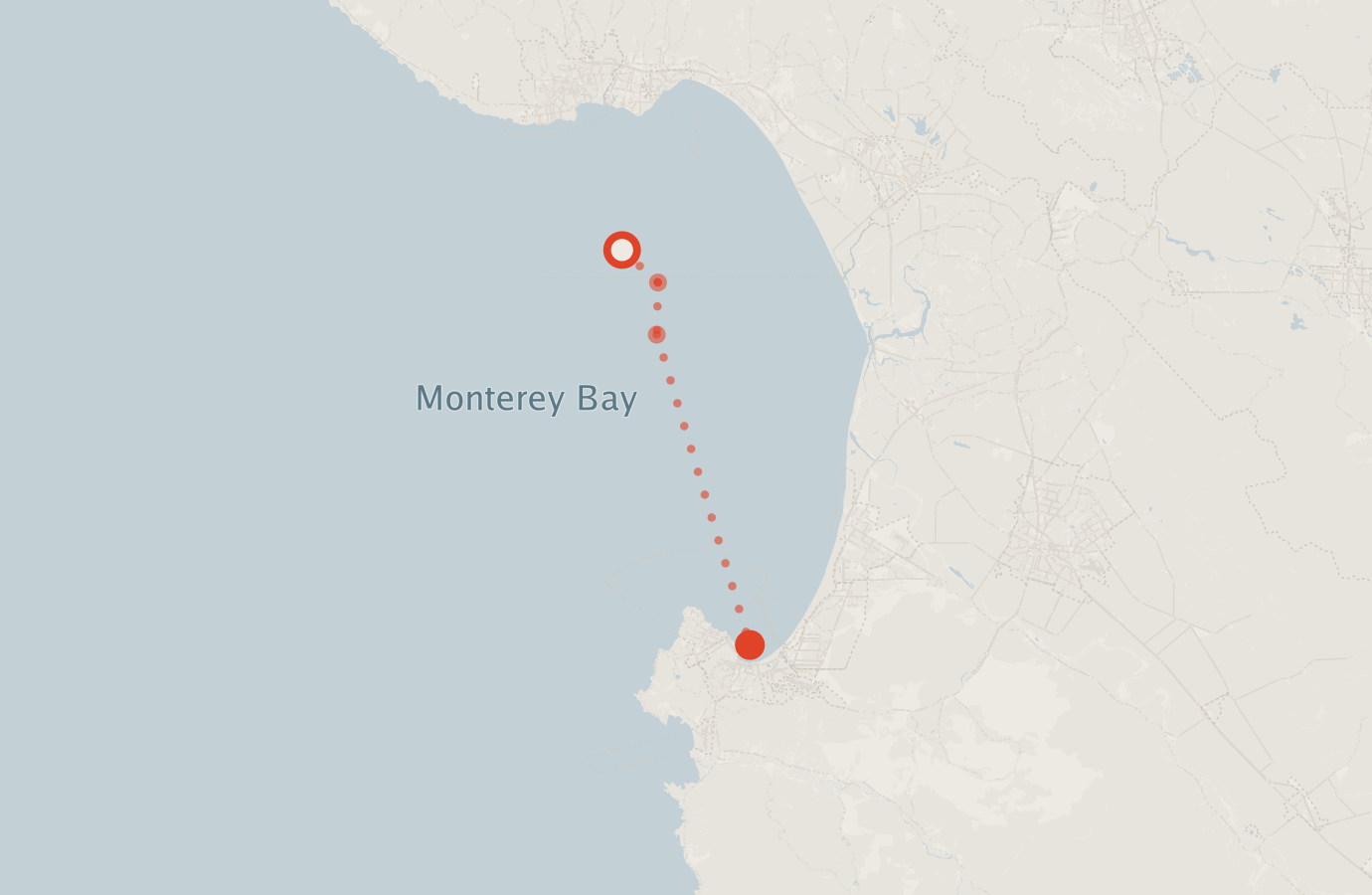 Activity map — real sighting points on an OpenStreetMap basemap