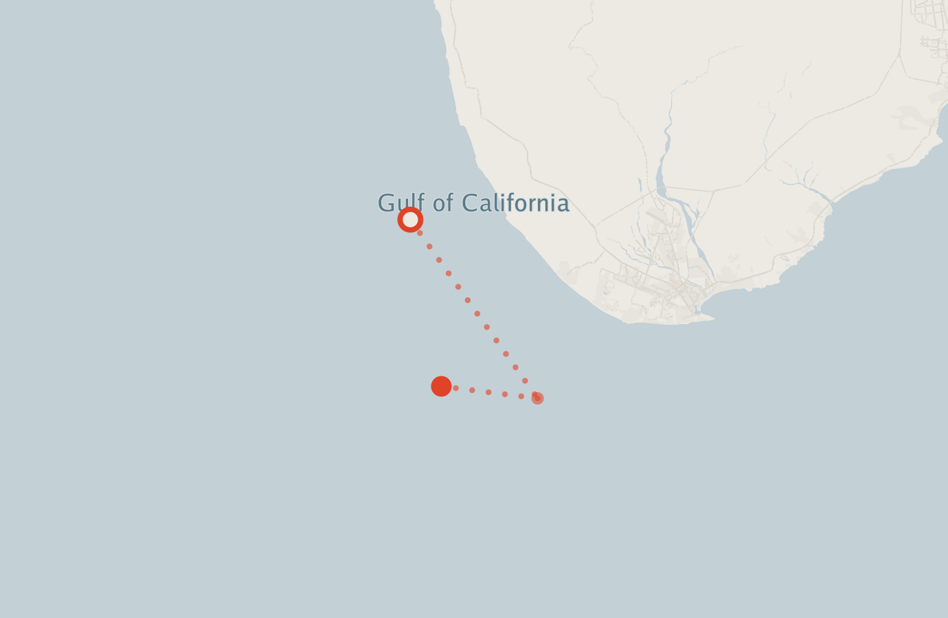 Activity map — real sighting points on an OpenStreetMap basemap