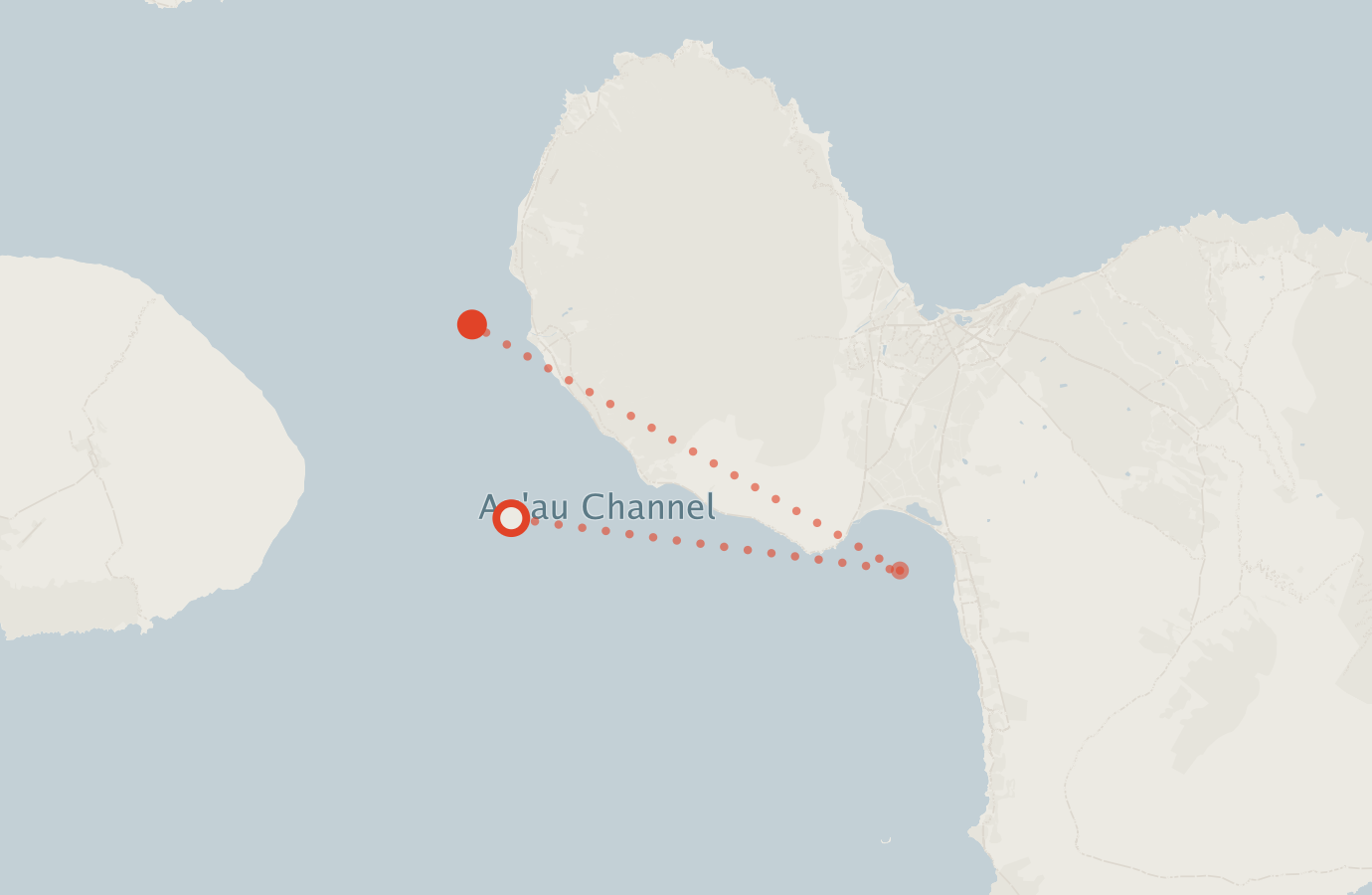 Activity map — real sighting points on an OpenStreetMap basemap