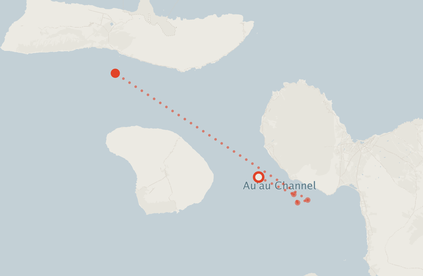 Activity map — real sighting points on an OpenStreetMap basemap