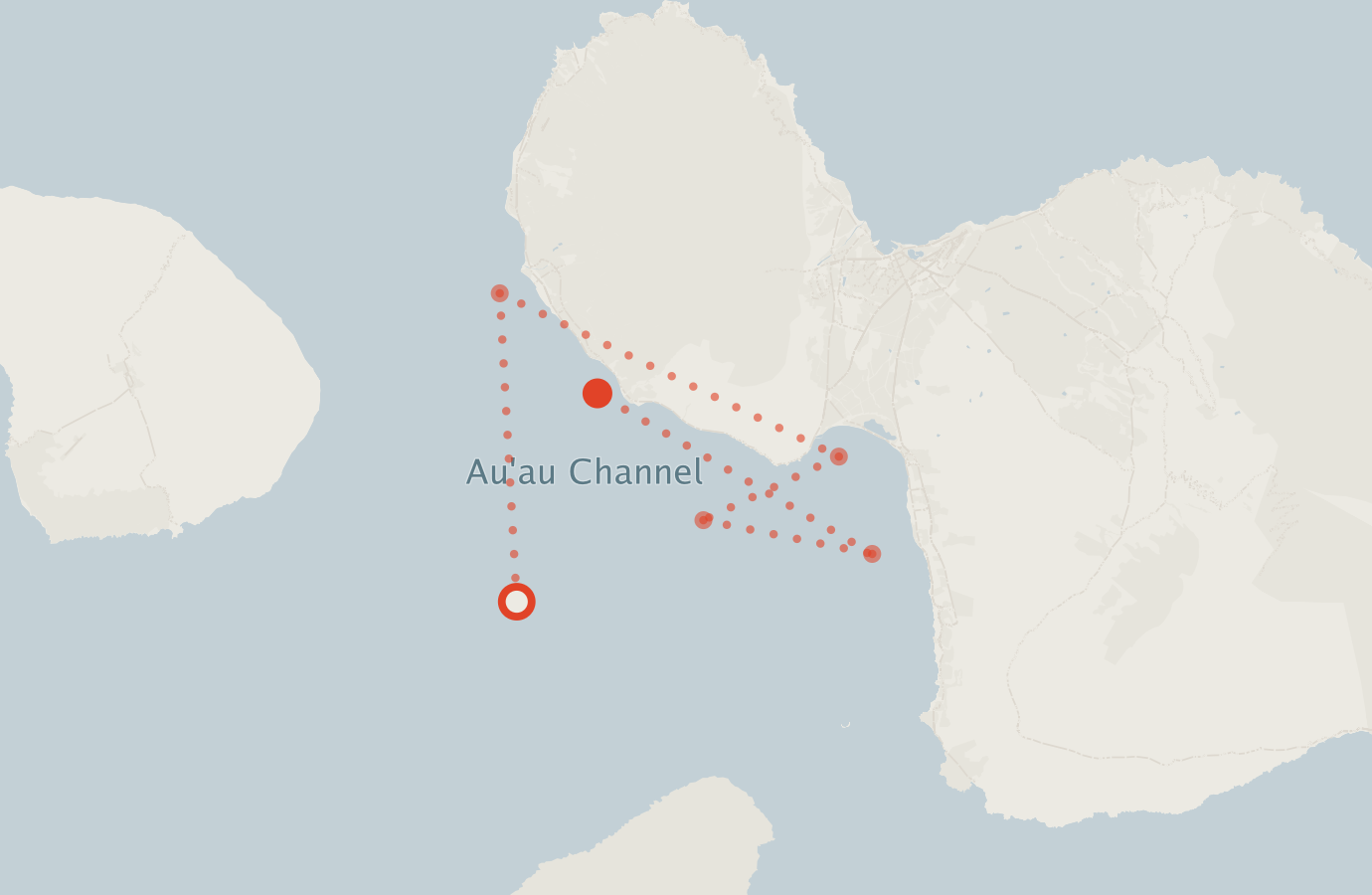 Activity map — real sighting points on an OpenStreetMap basemap