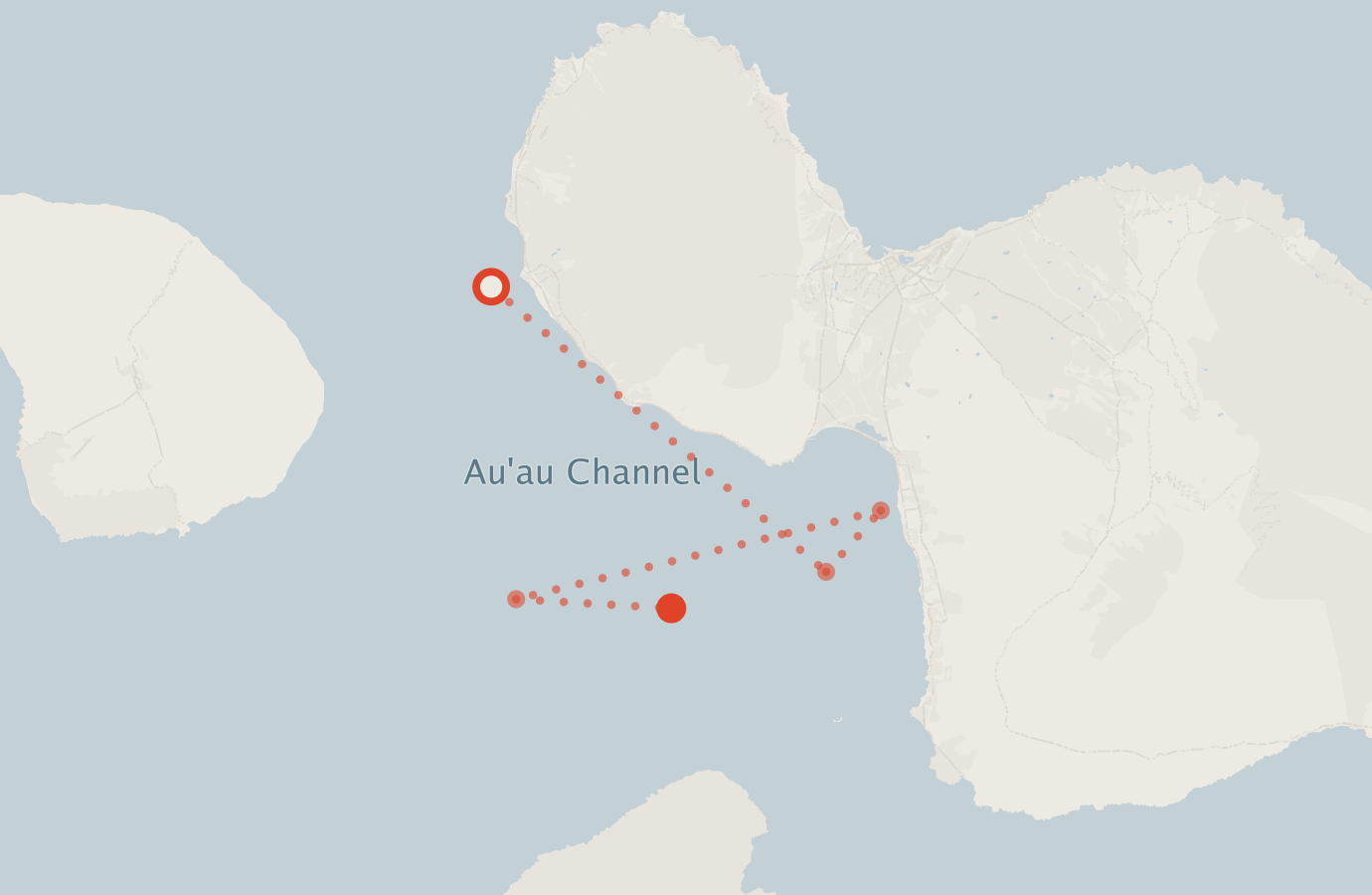 Activity map — real sighting points on an OpenStreetMap basemap