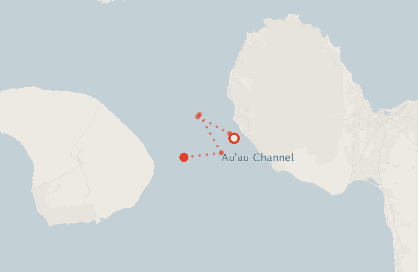 Activity map — real sighting points on an OpenStreetMap basemap