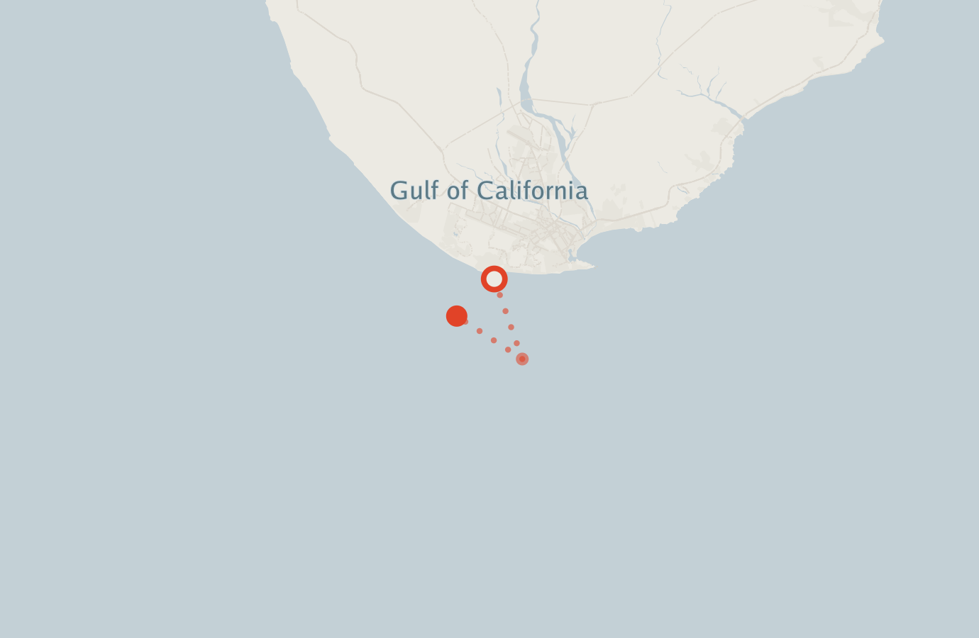 Activity map — real sighting points on an OpenStreetMap basemap
