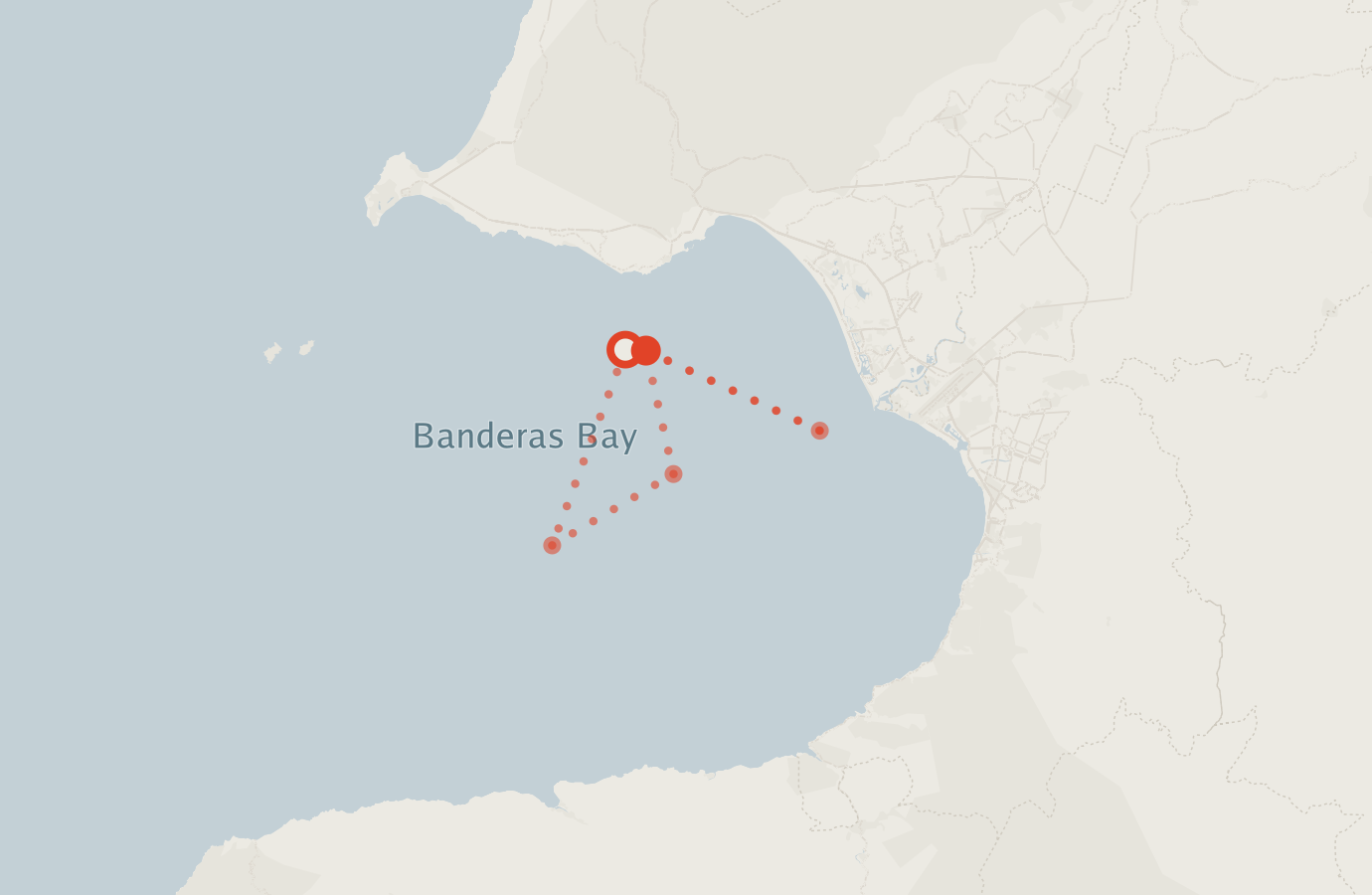 Activity map — real sighting points on an OpenStreetMap basemap