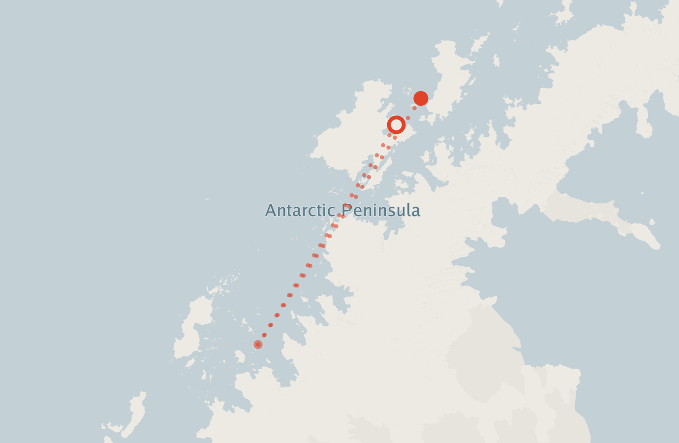Activity map — real sighting points on an OpenStreetMap basemap