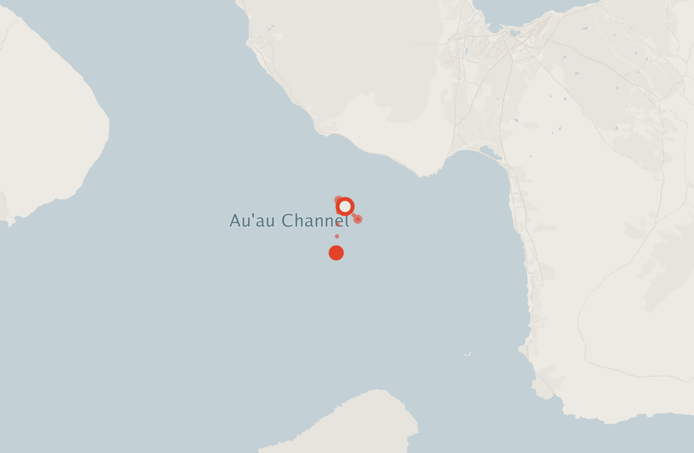 Activity map — real sighting points on an OpenStreetMap basemap