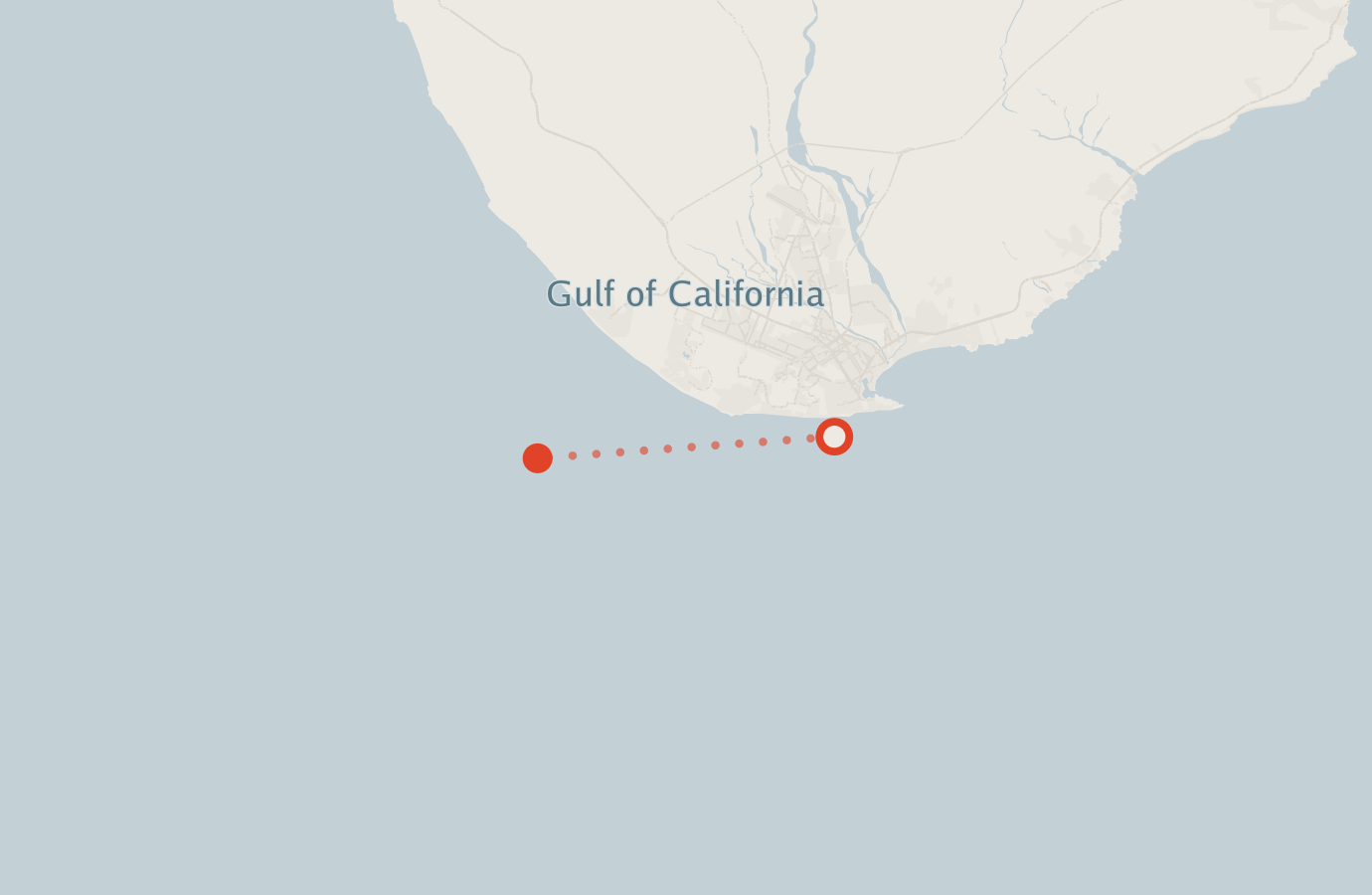 Activity map — real sighting points on an OpenStreetMap basemap