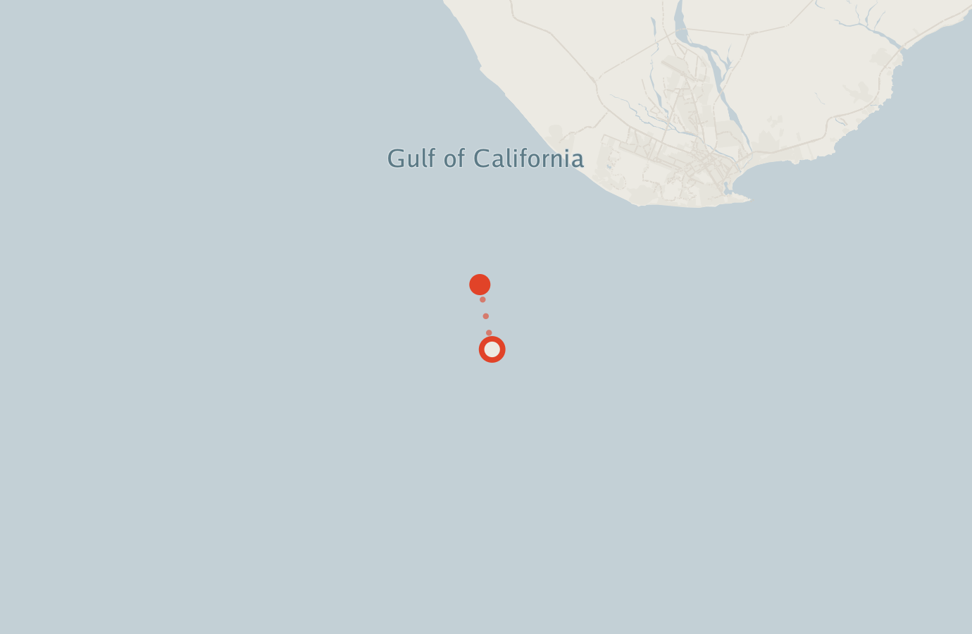 Activity map — real sighting points on an OpenStreetMap basemap