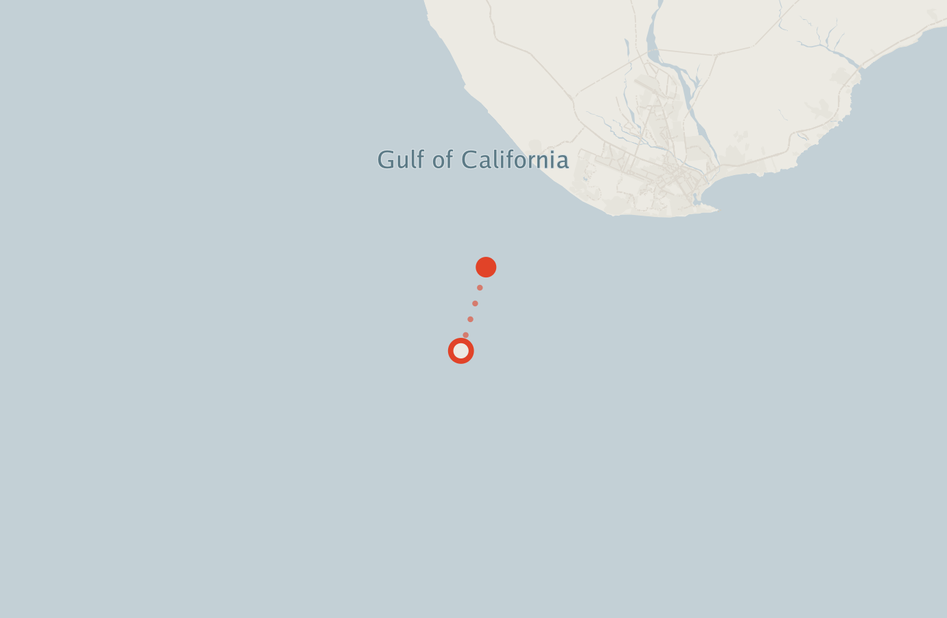 Activity map — real sighting points on an OpenStreetMap basemap