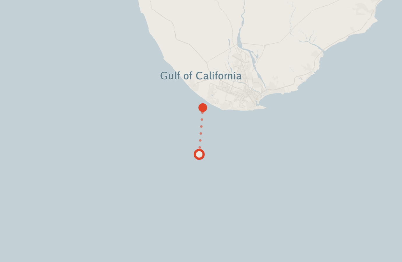 Activity map — real sighting points on an OpenStreetMap basemap