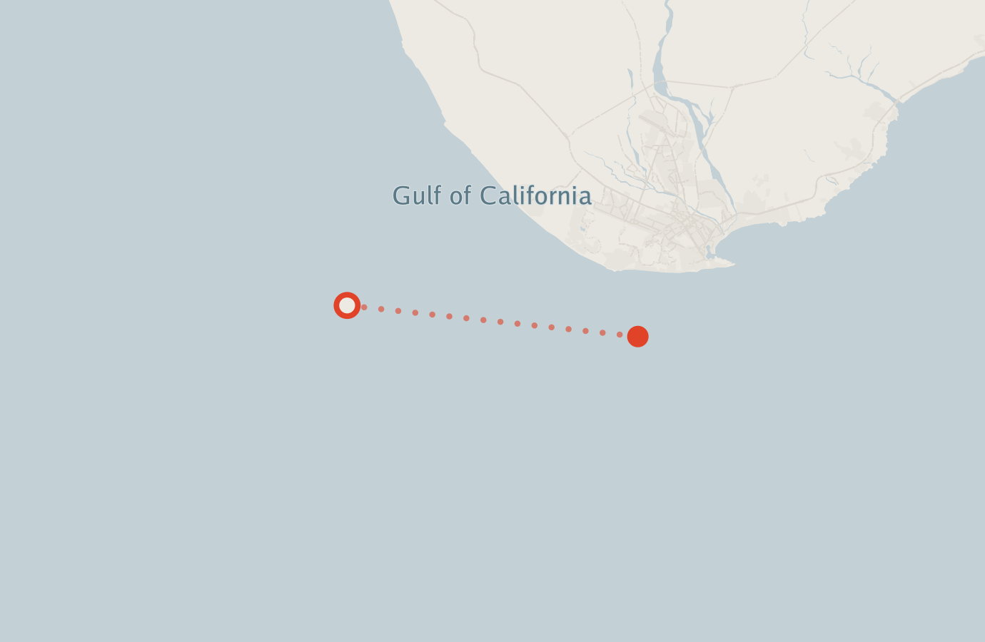 Activity map — real sighting points on an OpenStreetMap basemap
