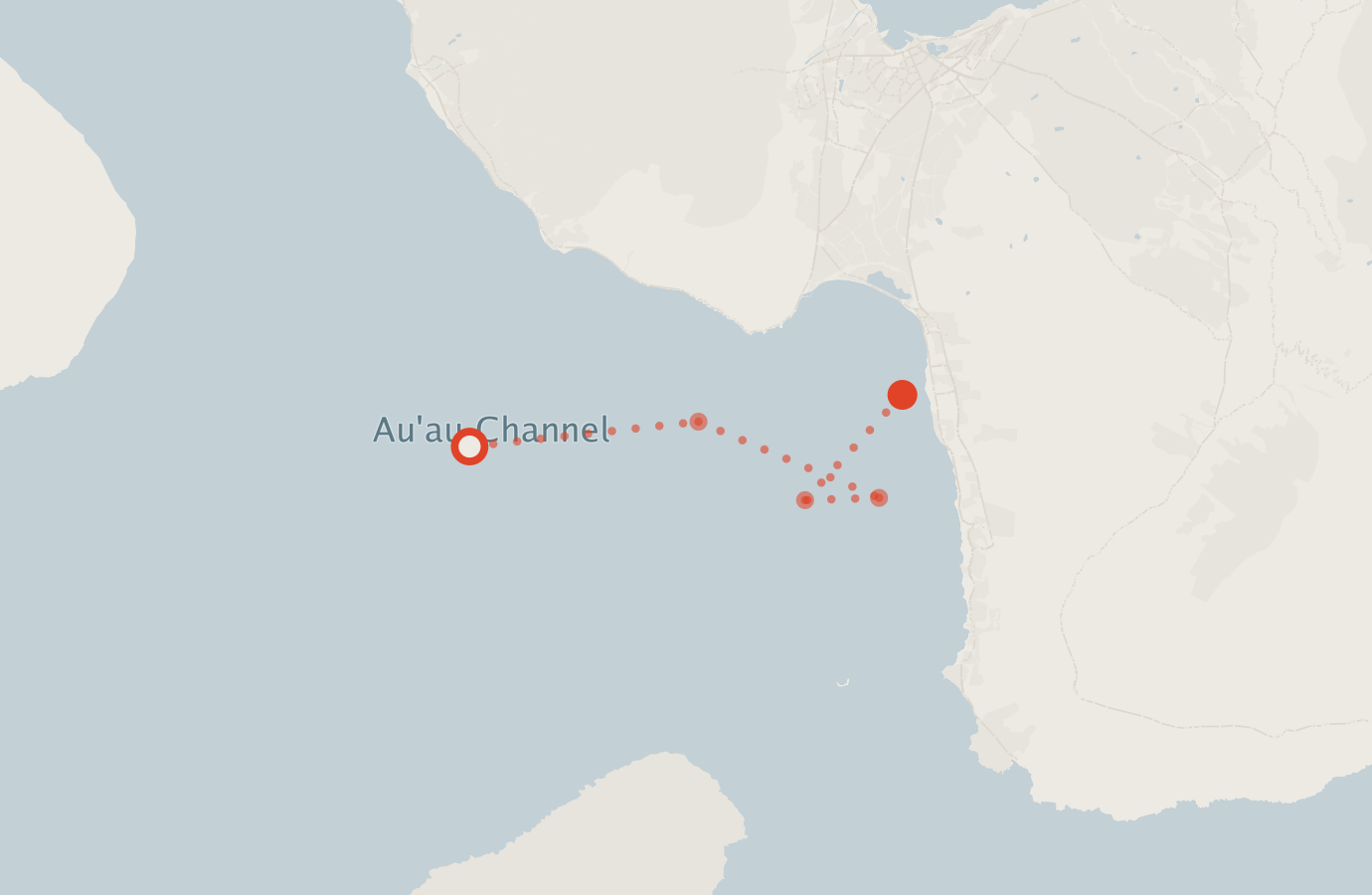 Activity map — real sighting points on an OpenStreetMap basemap
