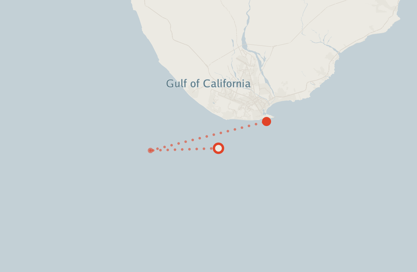 Activity map — real sighting points on an OpenStreetMap basemap