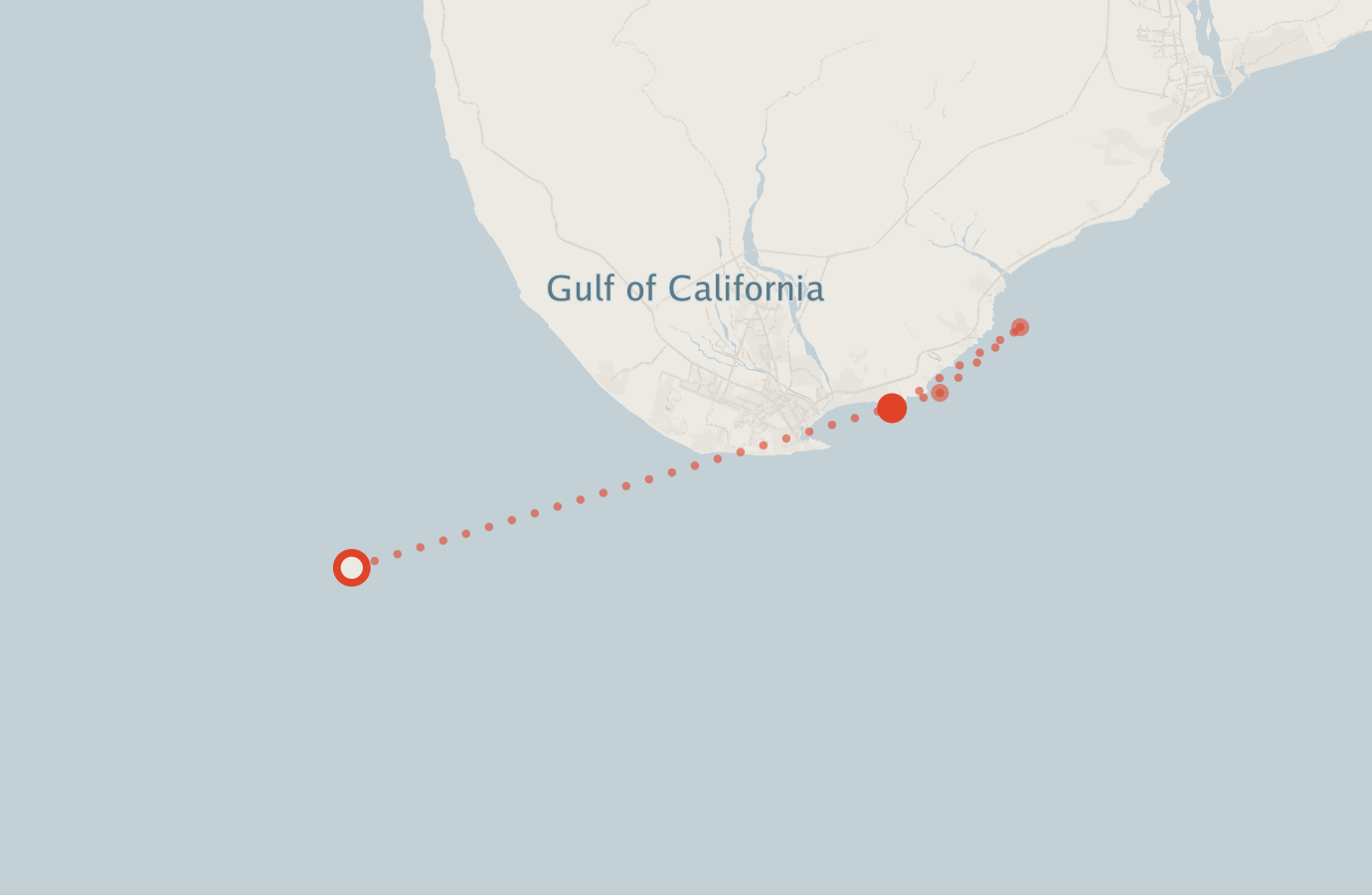 Activity map — real sighting points on an OpenStreetMap basemap