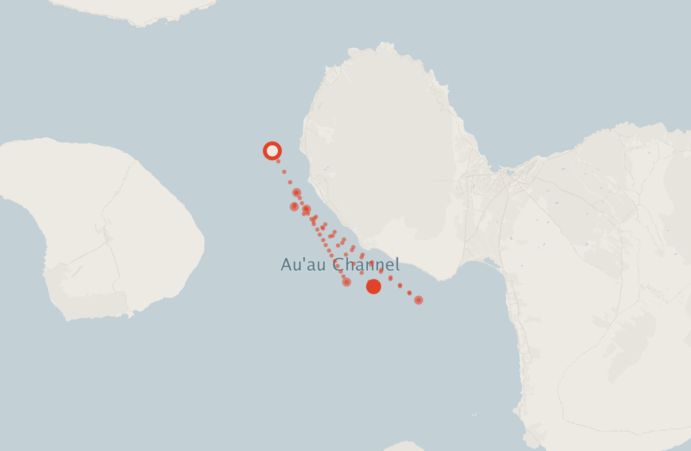 Activity map — real sighting points on an OpenStreetMap basemap