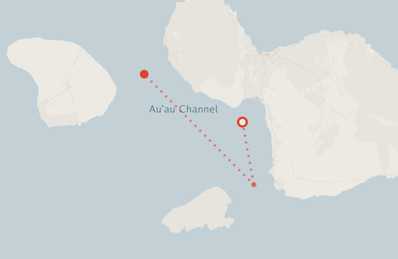 Activity map — real sighting points on an OpenStreetMap basemap