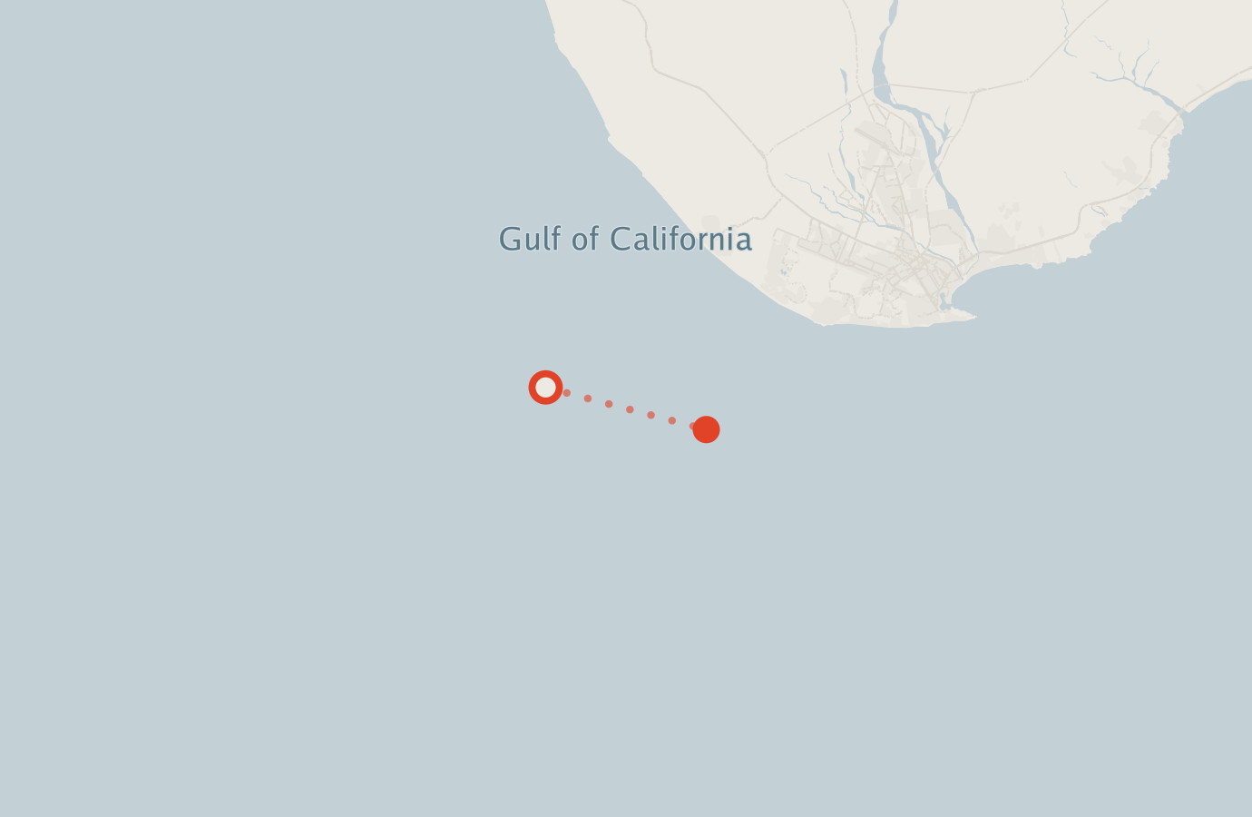 Activity map — real sighting points on an OpenStreetMap basemap