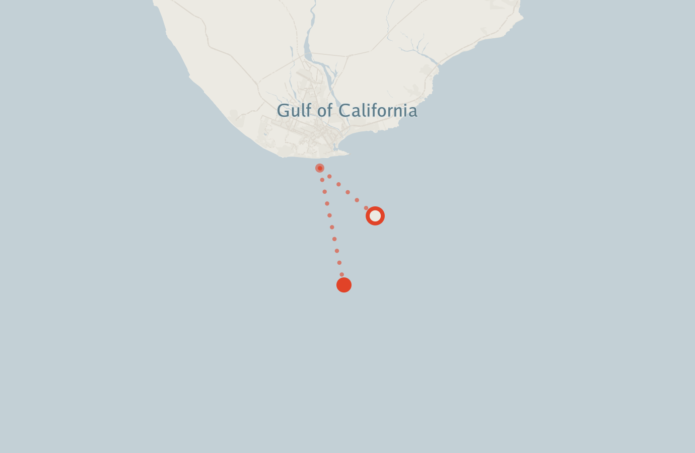 Activity map — real sighting points on an OpenStreetMap basemap