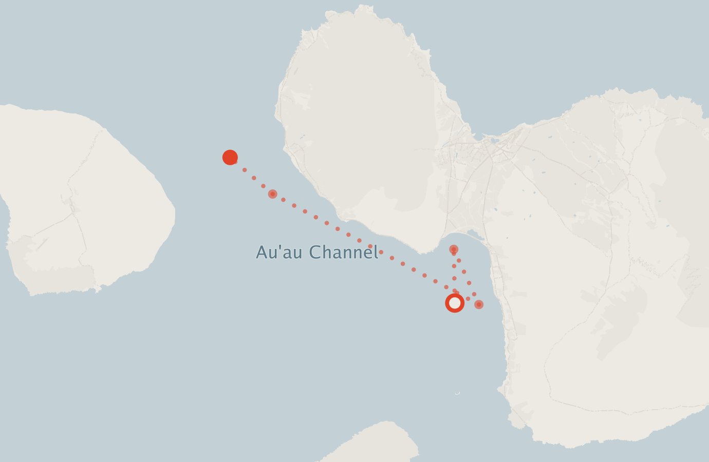 Activity map — real sighting points on an OpenStreetMap basemap