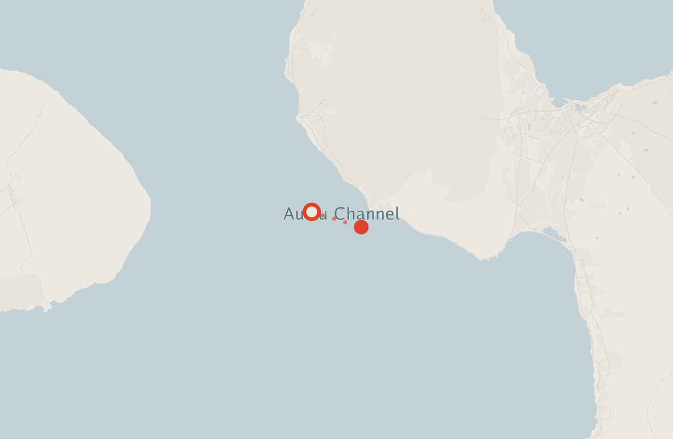 Activity map — real sighting points on an OpenStreetMap basemap